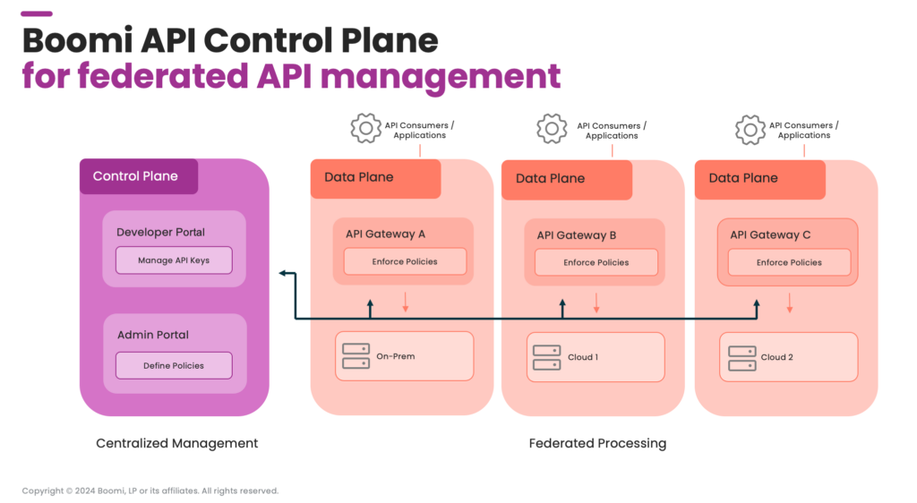 Boomi API Control Panel For Federated API Management